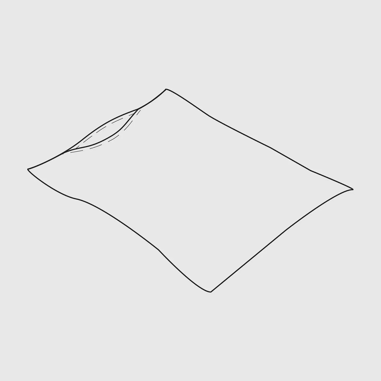 DuvetCover-ParagonCotton-03.jpg