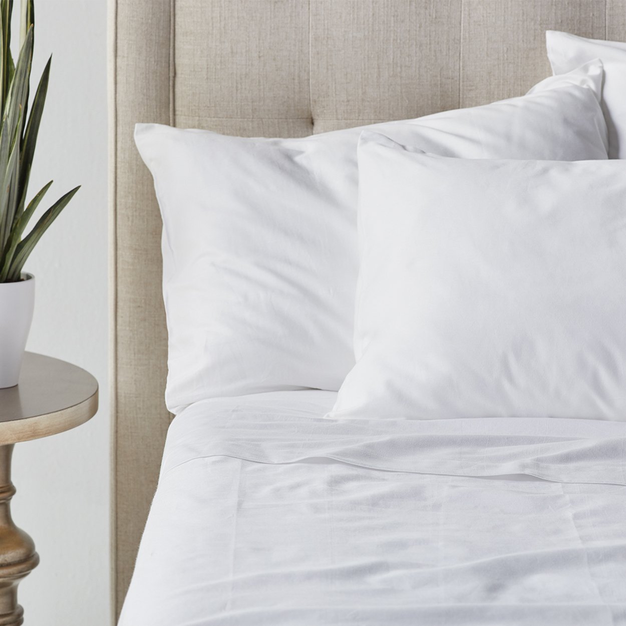Sheet-ParagonCotton-02.jpg