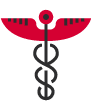 Icon Health Systems