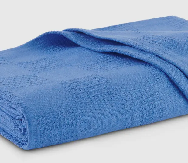 Detail of the Monarch hospital blanket in Blue.