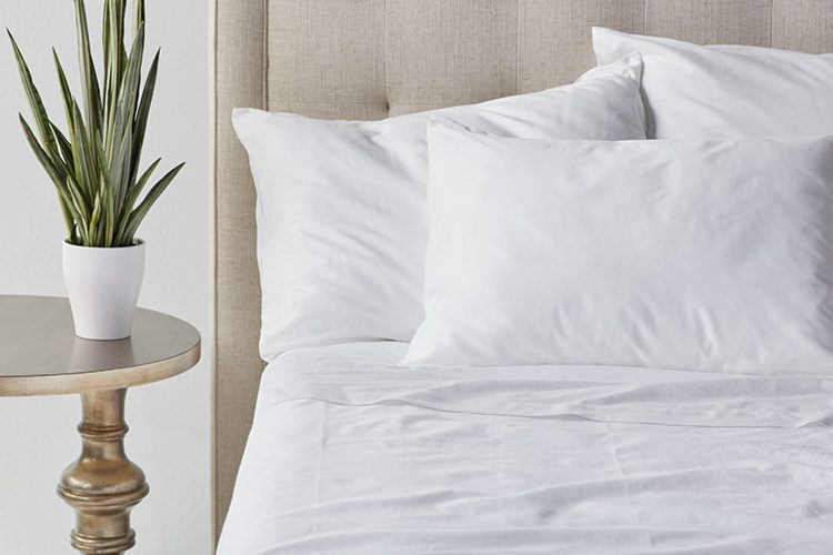 Hotel bed with three pillows and Paragon Cotton sheets next to a plant on a nightstand
