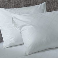 Ultimate Pillow Protector