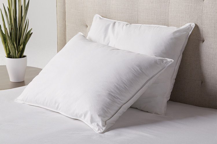 Anti-microbial bed pillows by American Blanket Company - American Blanket  Company