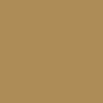Swatch of Serenity in Terra Cotta.