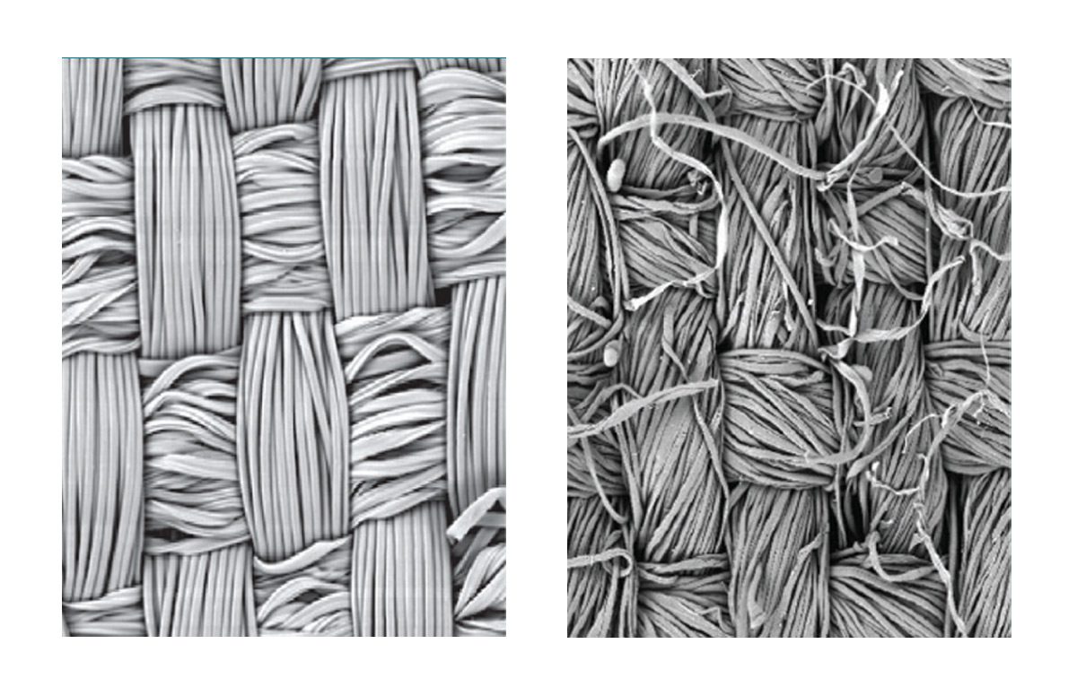 Magnification of DermaTherapy fibers versus cotton fibers