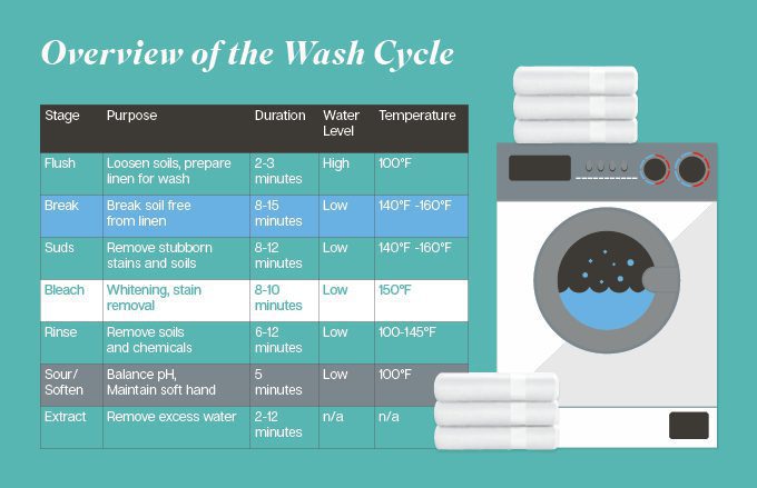 An infographic showing an overview of the wash cycle.
