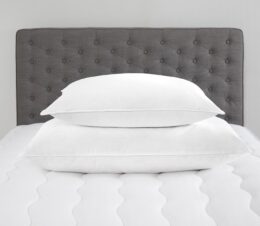 Pillows & Pillow Covers
