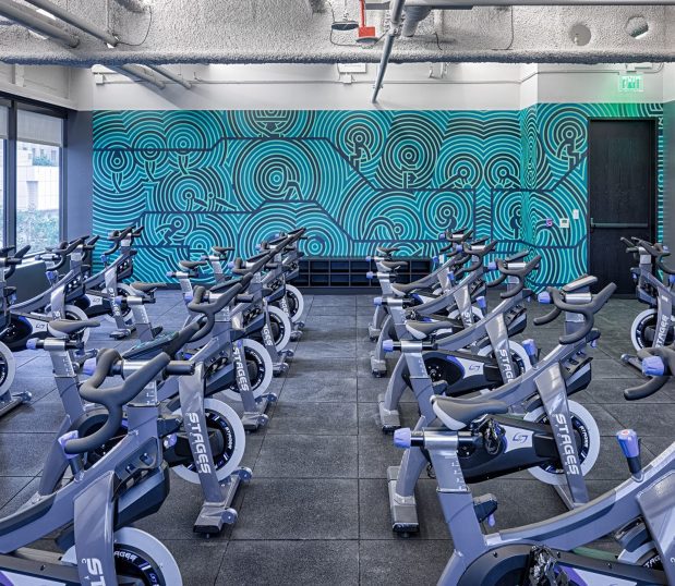 Work out facility with custom wallcovering in teal and purple circle graphics.