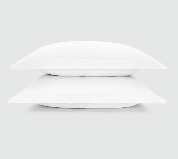 Paragon cotton pillow sham